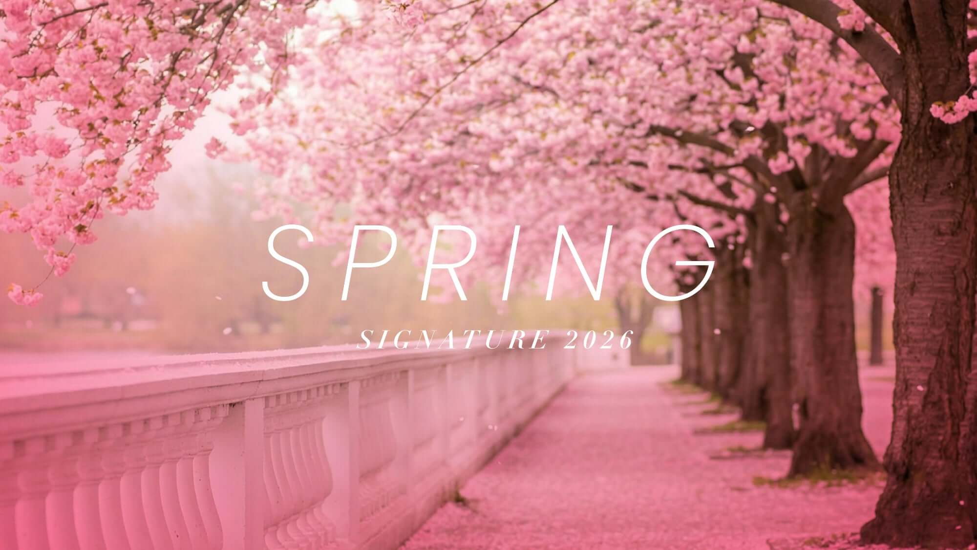 fajas colombianas Stagmi